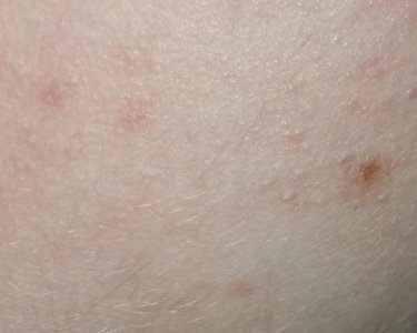 20160108_161329.jpg