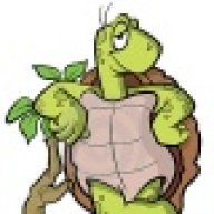 Snuggles the Tortoise