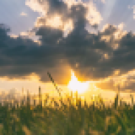 Sunshine42