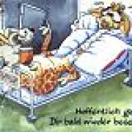 Moin-Gesundheit