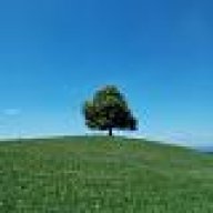 alex_77