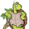 Snuggles the Tortoise