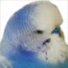 DerD4nnY
