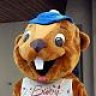 Burmi