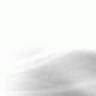 inimausilein