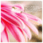 herbstblume