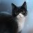 amalthea