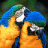 jens_78