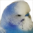 DerD4nnY