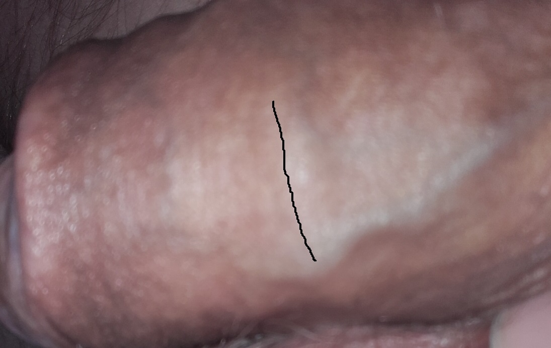 20200925-101736.jpg